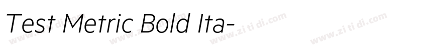 Test Metric Bold Ita字体转换 Test Metric Bold Ita字体转换